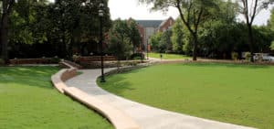 Mercer Computer Open Space