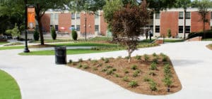 Mercer Computer Open Space