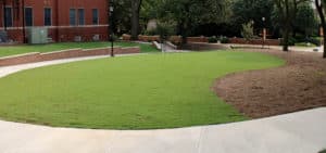 Mercer Computer Open Space