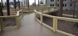 Decking of Woodland Walkway